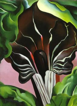 喬治亞 奧基夫 Jack in the Pulpit